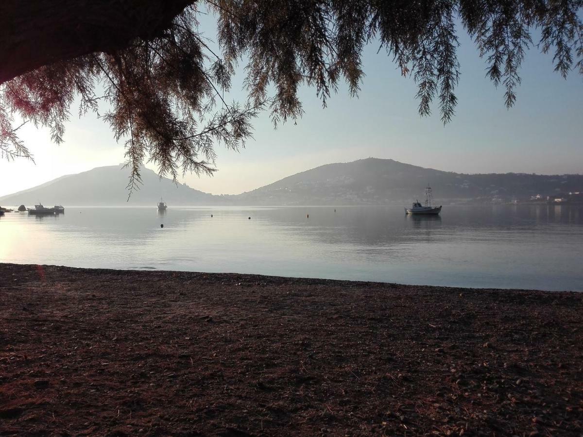 Leros Eleonas Apartments Alinda  Dış mekan fotoğraf