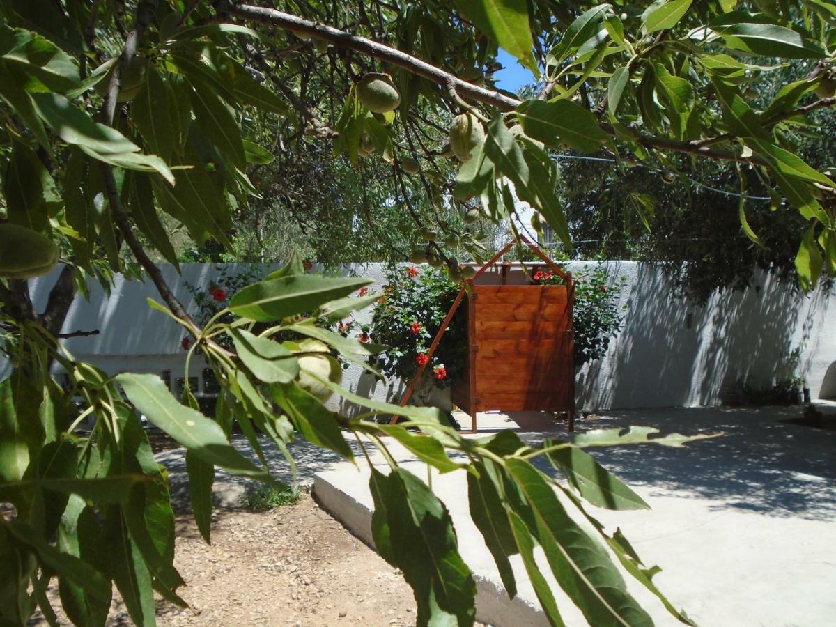Leros Eleonas Apartments Alinda  Dış mekan fotoğraf